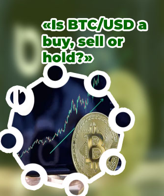 Btc into usd