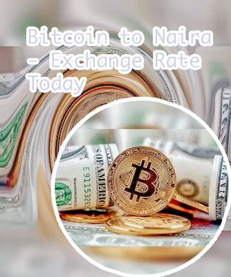 How much is 1 dollar bitcoin in naira