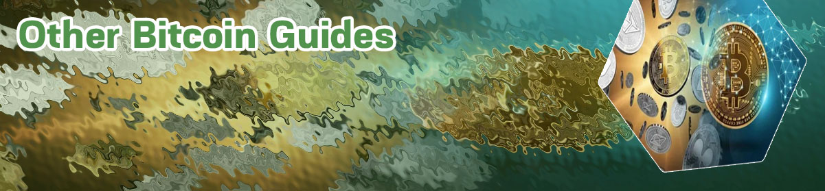 Types of bitcoins